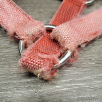 Nylon Halter *fair, v.faded, frays, stained, cuts, mnr hair, undone stitching
