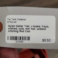 Nylon Halter *fair, v.faded, frays, stained, cuts, mnr hair, undone stitching
