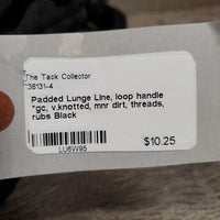 Padded Lunge Line, loop handle *gc, v.knotted, mnr dirt, threads, rubs
