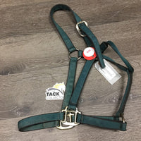 Nylon Halter *gc, older, faded, clean, stained, dents/frays, rust/oxidization, rubs
