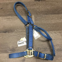 Nylon Halter, adj, snap *gc, faded, stained, rubs