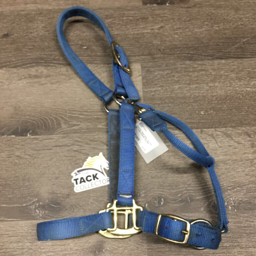 Nylon Halter, adj, snap *gc, faded, stained, rubs