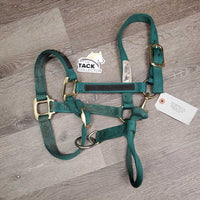 Nylon Halter, adj, snap, "Didsbury 50th 2012" *vgc, older, mnr dirt, stains, fading
