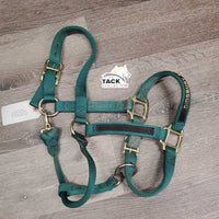 Nylon Halter, adj, snap, "Didsbury 50th 2012" *vgc, older, mnr dirt, stains, fading
