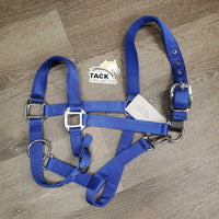 Padded Nylon Breakaway Halter, adj, snap *like new/xc, mnr threads
