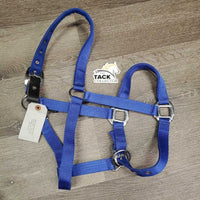 Padded Nylon Breakaway Halter, adj, snap *like new/xc, mnr threads
