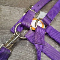 Thick Nylon Halter, snap, adj *gc, dirty, stains, scratches *Shedrow Buckle, Supra Tag
