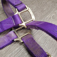 Thick Nylon Halter, snap, adj *gc, dirty, stains, scratches *Shedrow Buckle, Supra Tag
