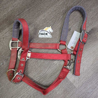 Thick Nylon Fleece Lined Halter, snap, adj *gc/fair, dirty, stains, rusty, clumpy, hairy, older? faded

