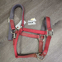 Thick Nylon Fleece Lined Halter, snap, adj *gc/fair, dirty, stains, rusty, clumpy, hairy, older? faded
