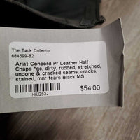 Pr Leather Half Chaps *gc, dirty, rubbed, stretched, undone & cracked seams, cracks, stained, mnr tears
