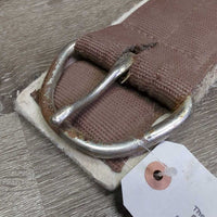 Synthetic Felt & Nylon Web Cinch, 2x D Ring *fair, v.rusty, v.hairy, dirty
