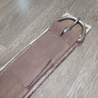 Synthetic Felt & Nylon Web Cinch, 2x D Ring *fair, v.rusty, v.hairy, dirty
