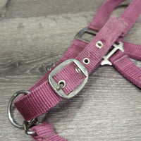 Nylon Halter, snap, adj, Leather Breakaway Crown *gc, faded, rubs, snags, edge rubs, mnr dirt & chews
