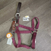 Nylon Halter, snap, adj, Leather Breakaway Crown *gc, faded, rubs, snags, edge rubs, mnr dirt & chews
