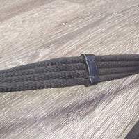 Raised Cotton Web Reins *gc, mnr dirt, folds/weak spots

