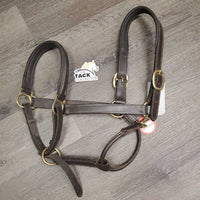 FS Padded Leather Halter *vgc, mnr dirt, scuffs, dry
