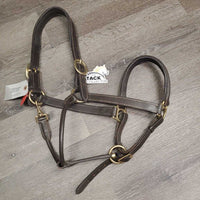 FS Padded Leather Halter *vgc, mnr dirt, scuffs, dry

