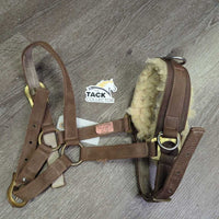 Stiff Nylon Web Lungeing Cavesson, Fleece *gc, older, rubs, stains, frayed edges, snags
