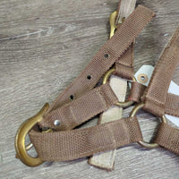 Stiff Nylon Web Lungeing Cavesson, Fleece *gc, older, rubs, stains, frayed edges, snags
