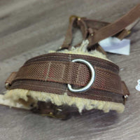 Stiff Nylon Web Lungeing Cavesson, Fleece *gc, older, rubs, stains, frayed edges, snags
