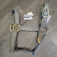 Thick Stiff Nylon Halter *gc/fair, v.dirty, v.stained, v.faded, edge rubs & frays, older
