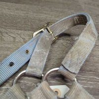 Thick Stiff Nylon Halter *gc/fair, v.dirty, v.stained, v.faded, edge rubs & frays, older
