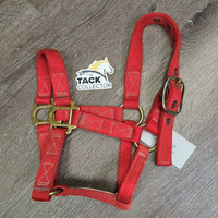 Thick Stiff Nylon Halter *vgc, clean, older, mnr stains & edge rubs
