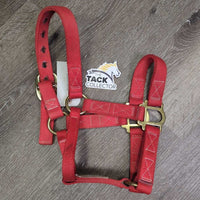 Thick Stiff Nylon Halter *vgc, clean, older, mnr stains & edge rubs
