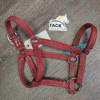 Thick Stiff Nylon Halter *gc, dirty, stains, rubs, snags, edge frays, older
