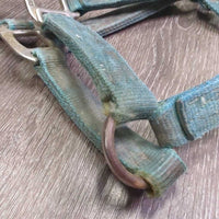 Thick Stiff Nylon Halter *fair, faded, stains, discolored, frayed holes & end, dirty
