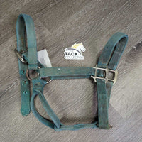 Thick Stiff Nylon Halter *fair, faded, stains, discolored, frayed holes & end, dirty
