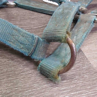 Thick Stiff Nylon Halter *fair, faded, stains, discolored, frayed holes & end, dirty
