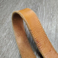 Nylon Breakaway Halter, leather crown, spring snap *vgc/gc, mnr residue, dirt & stains
