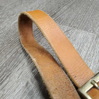 Nylon Breakaway Halter, leather crown, spring snap *vgc/gc, mnr residue, dirt & stains
