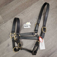 Triple Stitch Leather Halter *vgc, clean, mnr rubs, threads, scuffs, dry