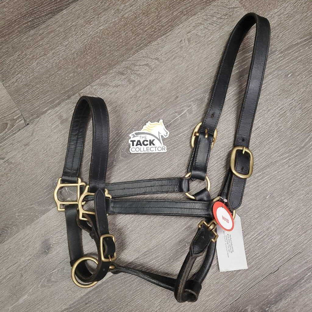 Triple Stitch Leather Halter *vgc, clean, mnr rubs, threads, scuffs, dry