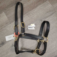 Triple Stitch Leather Halter *vgc, clean, mnr rubs, threads, scuffs, dry
