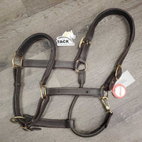 Rsd FS Padded leather Halter, adj *xc/vgc, mnr dry, scuffs, nameplate holes