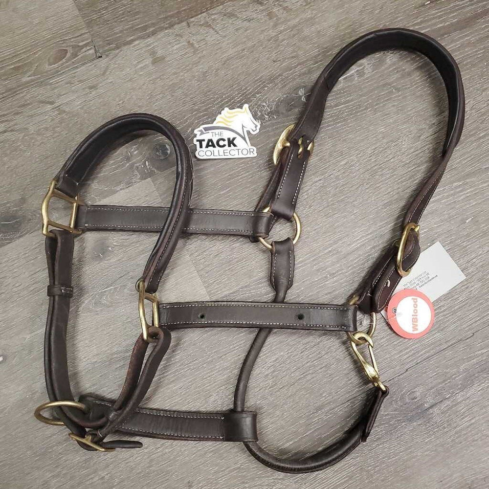 Rsd FS Padded leather Halter, adj *xc/vgc, mnr dry, scuffs, nameplate holes