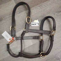 Rsd FS Padded leather Halter, adj *xc/vgc, mnr dry, scuffs, nameplate holes