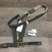 Nylon Halter, fleece crown, nose, adj, snap *gc, older, stains, threads, pilly, frays, hair