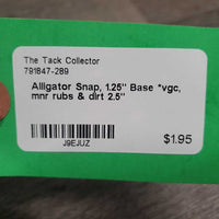 Alligator Snap, 1.25" Base *vgc, mnr rubs & dirt