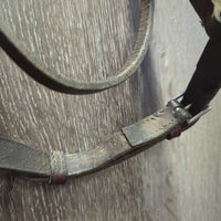 Raised Bridle, Rsd Braided Reins *fair, dry, v.stiff, v.dirty, dents, creases, crackles, film
