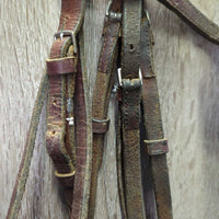 Raised Bridle, Rsd Braided Reins *fair, dry, v.stiff, v.dirty, dents, creases, crackles, film
