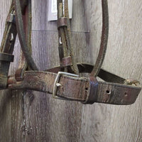Raised Bridle, Rsd Braided Reins *fair, dry, v.stiff, v.dirty, dents, creases, crackles, film
