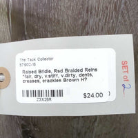 Raised Bridle, Rsd Braided Reins *fair, dry, v.stiff, v.dirty, dents, creases, crackles, film
