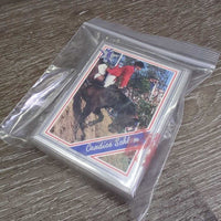 40 "Equi-Stars" Playing Cards, Plastic Case *vgc, clean, broken hinge, stains, rubs, older
