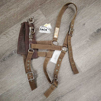 Flat Nylon Lungeing Cavesson, nutcracker *gc, older, stains, dirt, mnr rust, missing eyelet, stiff, faded
