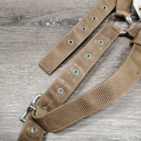 Flat Nylon Lungeing Cavesson, nutcracker *gc, older, stains, dirt, mnr rust, missing eyelet, stiff, faded
